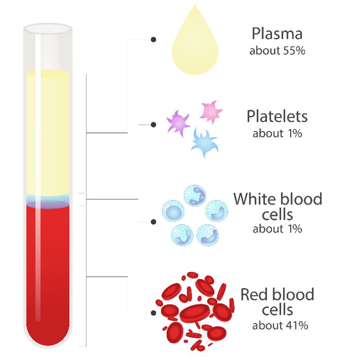 How to Isolate PBMCs from Whole Blood?