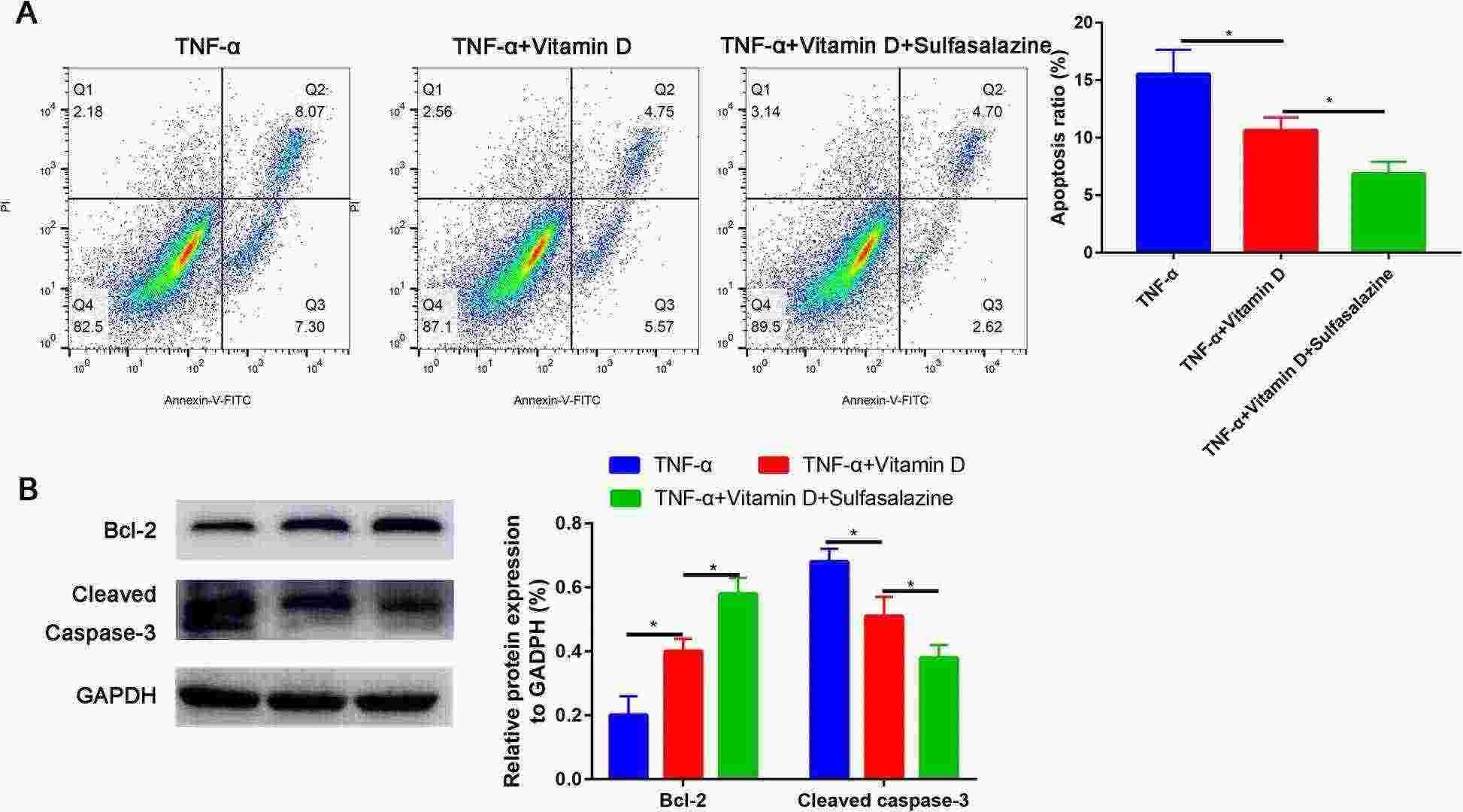 Sulfasalazine partially recovered the apoptosis rate of TNF-α-treated NP cells.