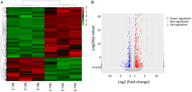 EdgeR was used to analyze the differentially expressed genes between control HPC cells and those infected with retrovirus.