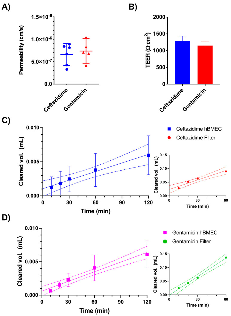 Fig. 1 In vitro permeability analysis using iPSC-derived hBMEC cells in Transwells.