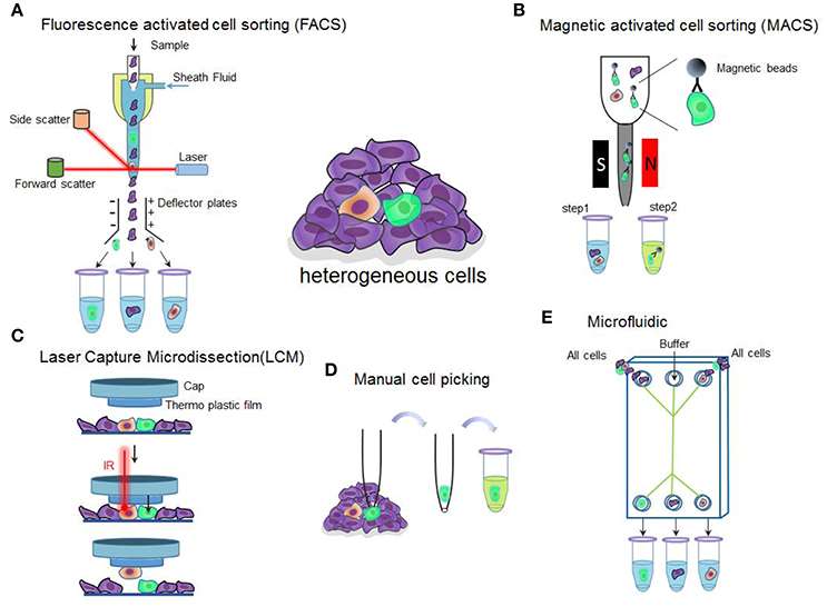 Summary of single-cell isolation techniques.