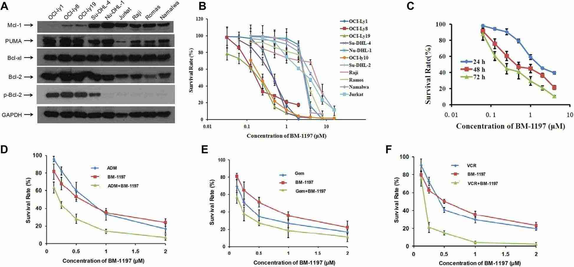 A high level of BCL-2 expression indicates a likely sensitivity to BM1197.
