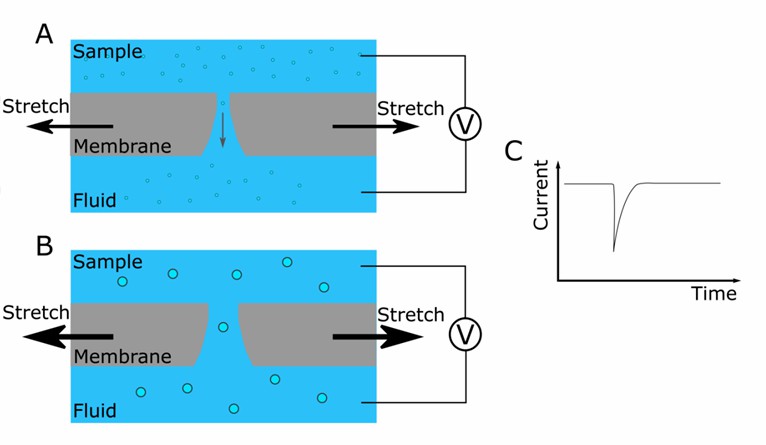 Schematic representation of the instrument. 