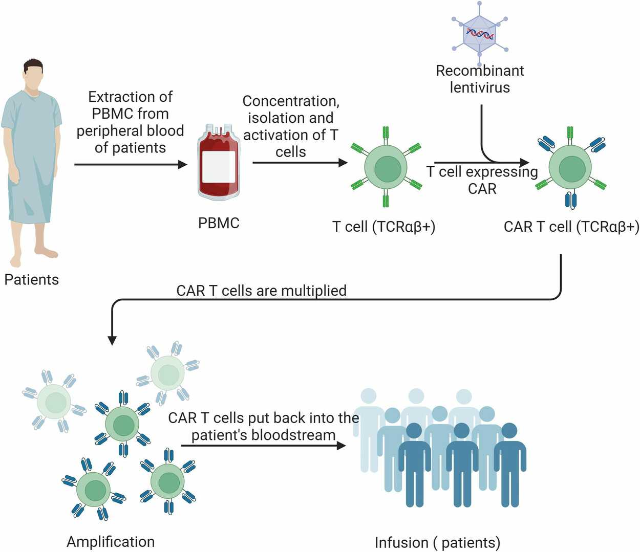 The schematic of CAR-T cell therapy process.