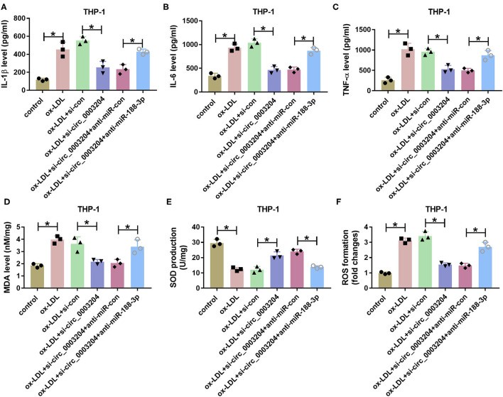 Influence of circ_0003204 and miR-188-3p on inflammatory response and oxidative stress in THP-1 cells.