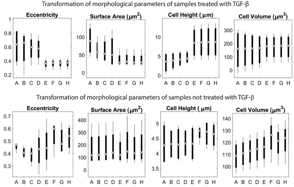 The graphs summarize the calculated parameters of eccentricity, surface area, cell height, and cell volume.