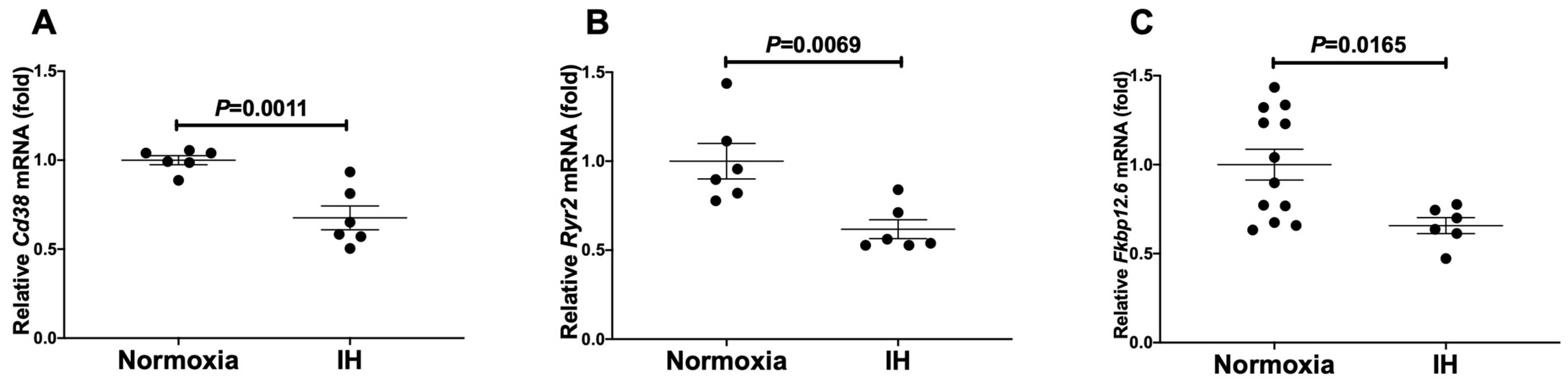 Rat H9c2 cardiomyocytes' mRNA levels of mouse (A) Cd38, (B) Ryr2, and (C) Fkbp12.6.