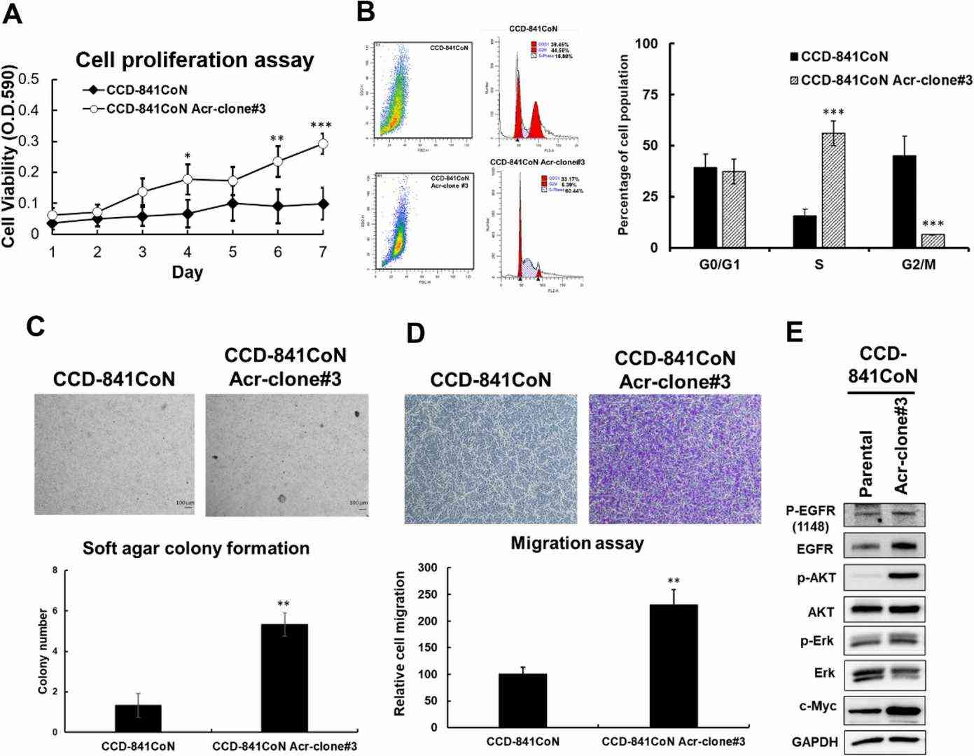Oncogenic transformation of CCD-841CoN cells by acrolein.