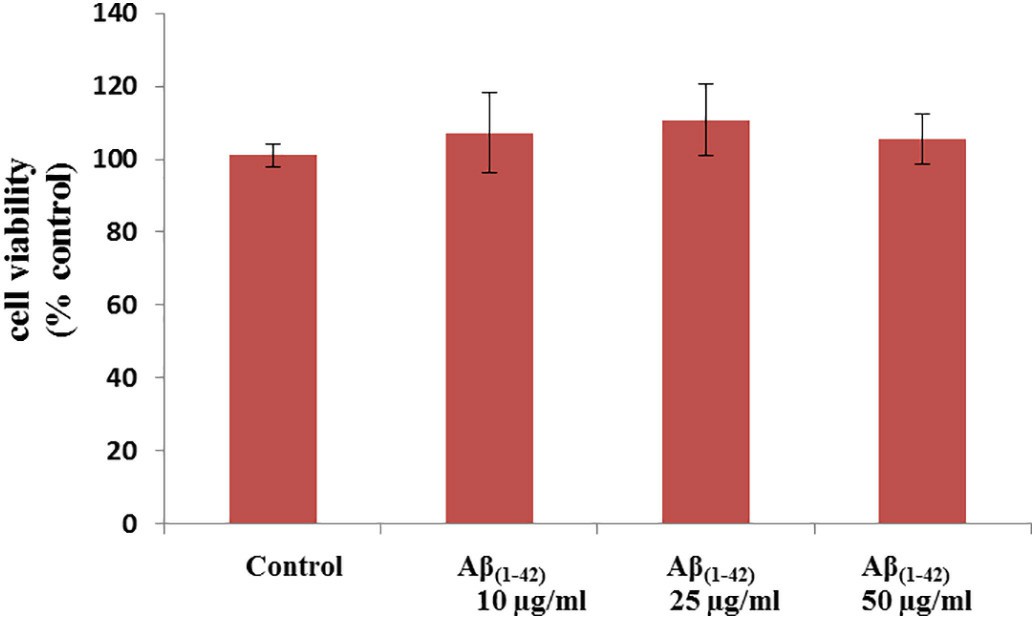 Determination of ABCB1, ABCG2 and ABCC5 functional activity in porcine brain endothelial cell.