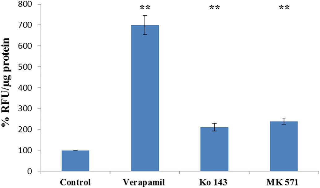 The effect of Aβ(1–42) on PBEC viability.