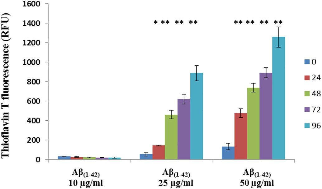 Aggregation Aβ(1–42) in porcine brain endothelial cell treatment medium.