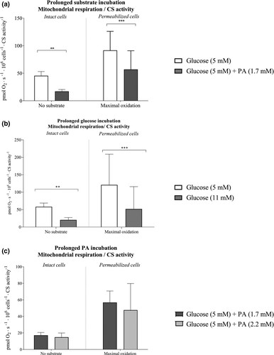 Intrinsic mitochondrial respiration measured in microvascular endothelial cells after a 3-day incubation with both standard and elevated glucose, or with standard and elevated palmitic acid in the presence of 5 mM glucose.