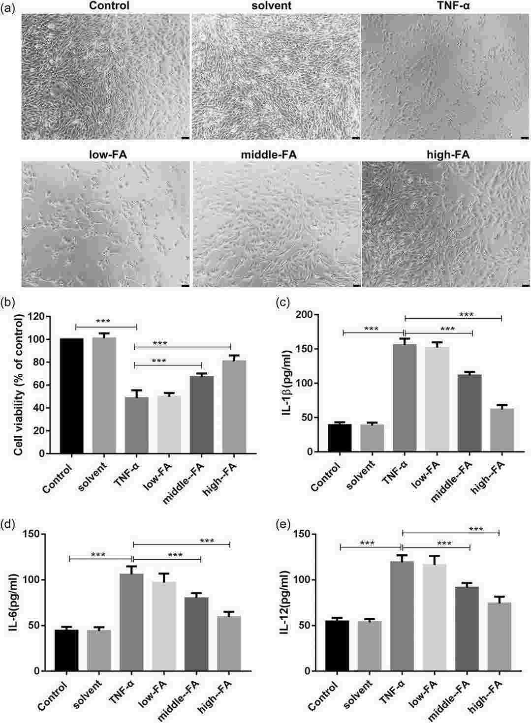 FA treatment restores the viability of human intestinal microvascular endothelial cells and inhibits TNF-α-induced cell inflammation.