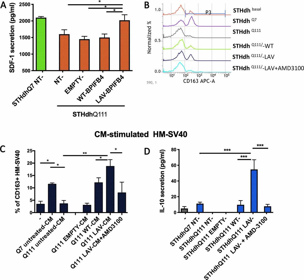 Analysis of the anti-inflammatory and M2-polarizing effects of conditioned media from LAV-BPIFB4-infected striatal cells.