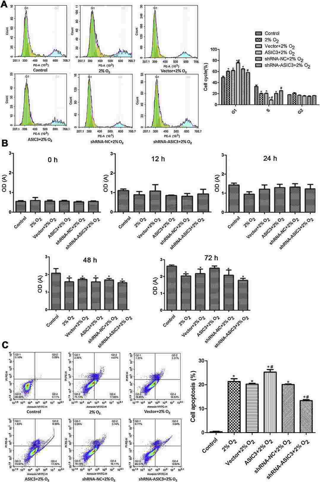 The cell cycle (A), viability (B), and apoptosis (C) of primary rabbit nucleus pulposus cells in various groups were evaluated by flow cytometry and CCK-8 assay.