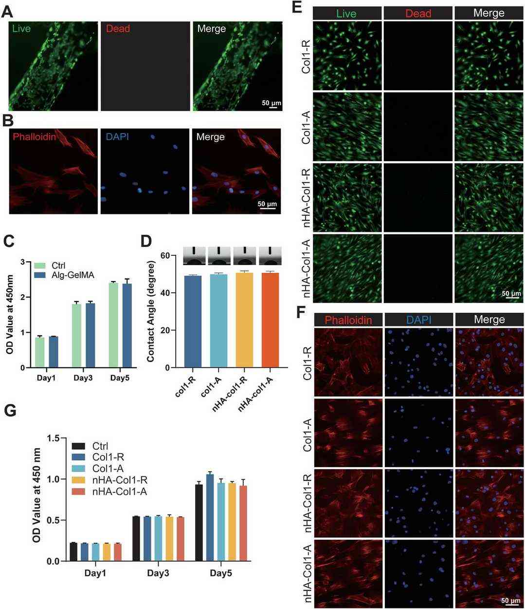 Biocompatibility of HAW, 4SrHAW, and 4SrHAW@PDA nanowires.
