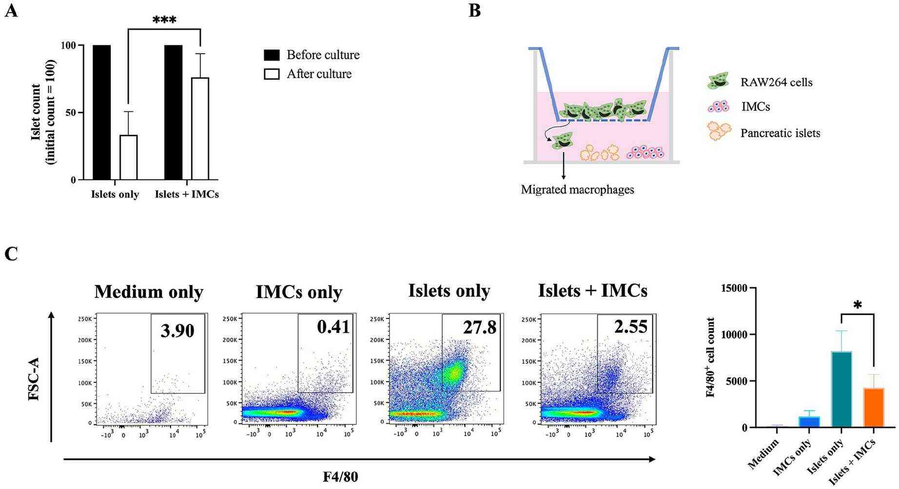 Islet-macrophages were co-cultured with IMCs.
