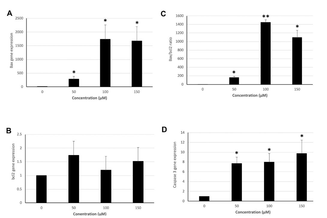 Mayaro and Una viruses efficiently infect human microglia HMC3 cells.