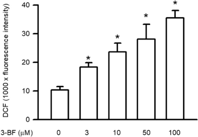 The induction of intracellular ROS accumulation in SVEC4-10 endothelial cells by 3-BrFlu.