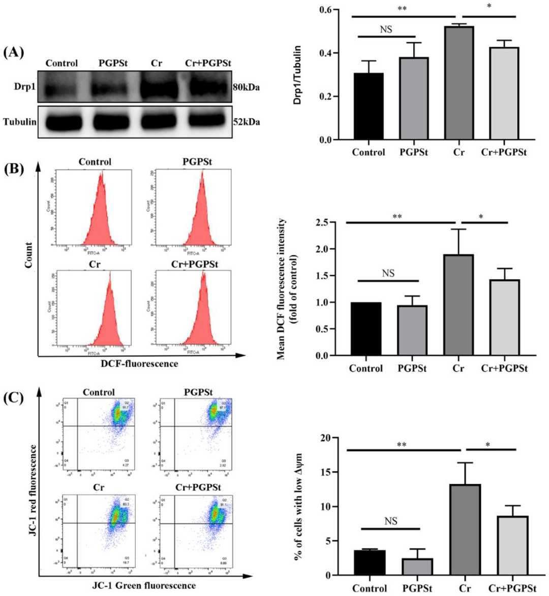 PGPSt reduced mitochondrial damage caused by Cr(VI).