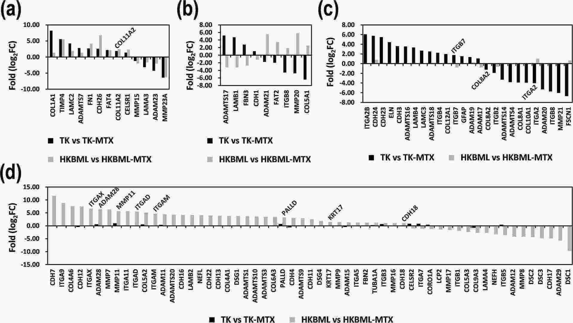 Expressing patterns of the genes associated with cell morphology and microenvironment in MTT-resistant primary central nervous system lymphoma cells.