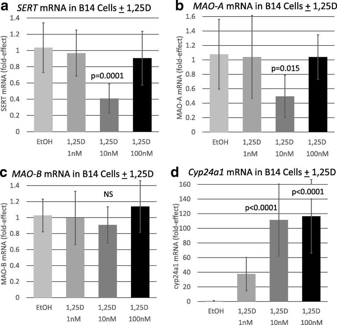 Impact of 1,25D on specific serotonin degradation pathways and control mRNAs in a serotonergic neuronal cell line.