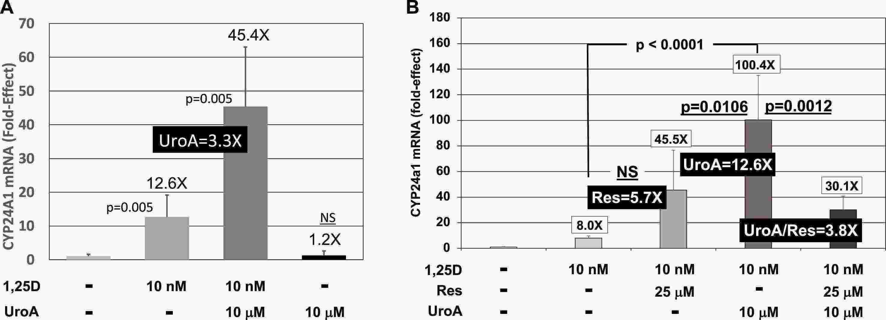 Influence of 1,25D and UroA and/or Res on the mRNA levels of CYP24A1 in cultured cells.