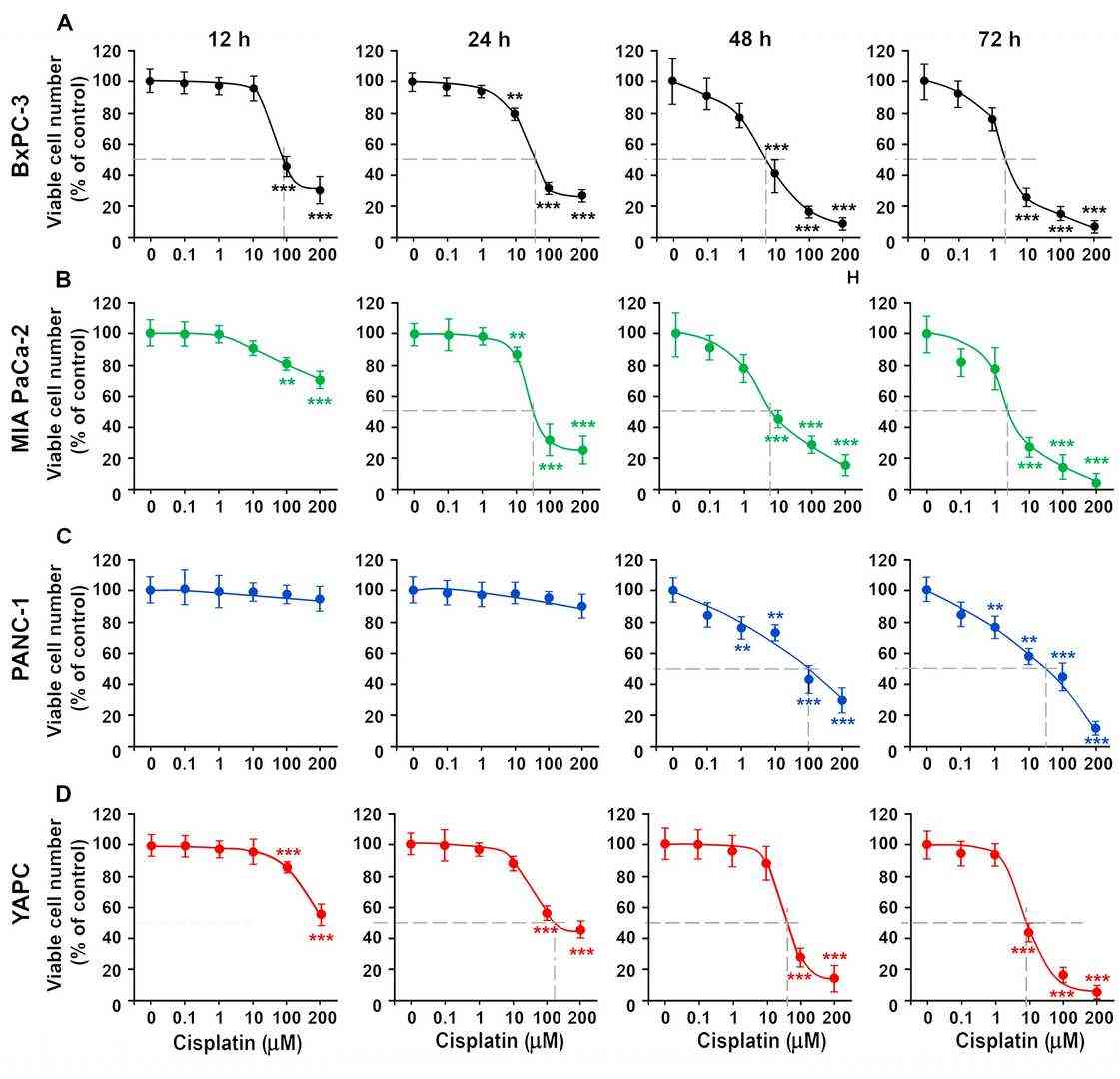 The cytotoxic effects of cisplatin on pancreatic tumor cell lines were investigated. Specifically, BxPC-3 (A), Mia Paca-2 (B), PANC-1 (C), and YAPC (D) cells were treated with varying concentrations of cisplatin.