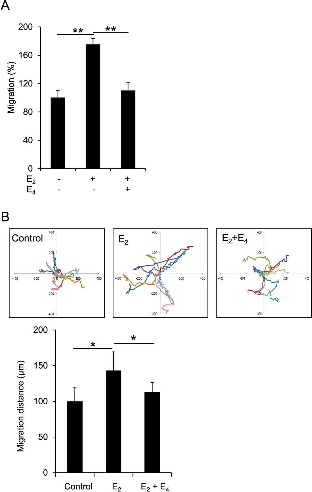 Inhibition of migration by E4 in human endometrial stromal cells