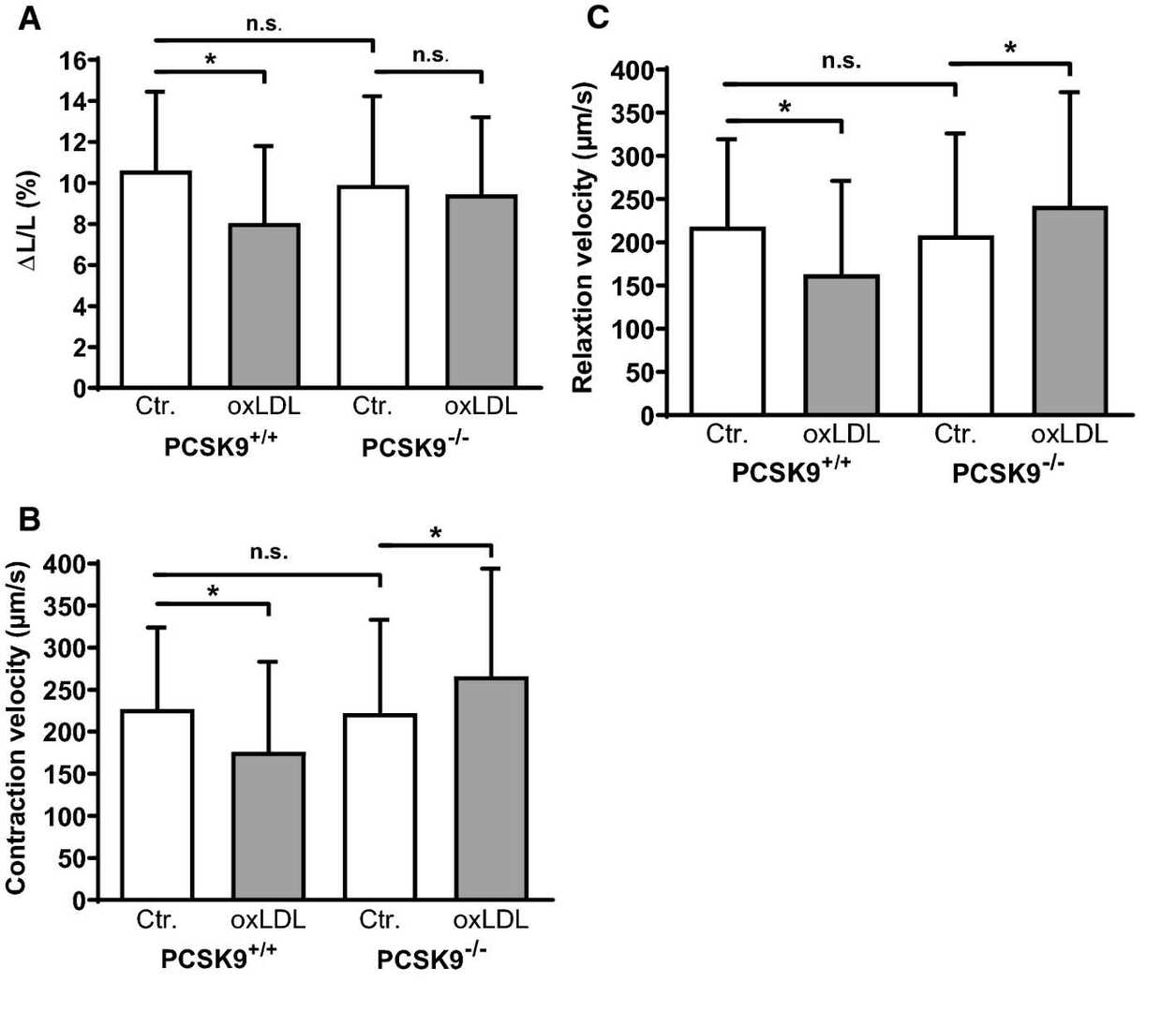 Effect of oxLDL on contraction without load in cardiomyocytes isolated from PCSK9−/− and PCSK9+/+ mice.