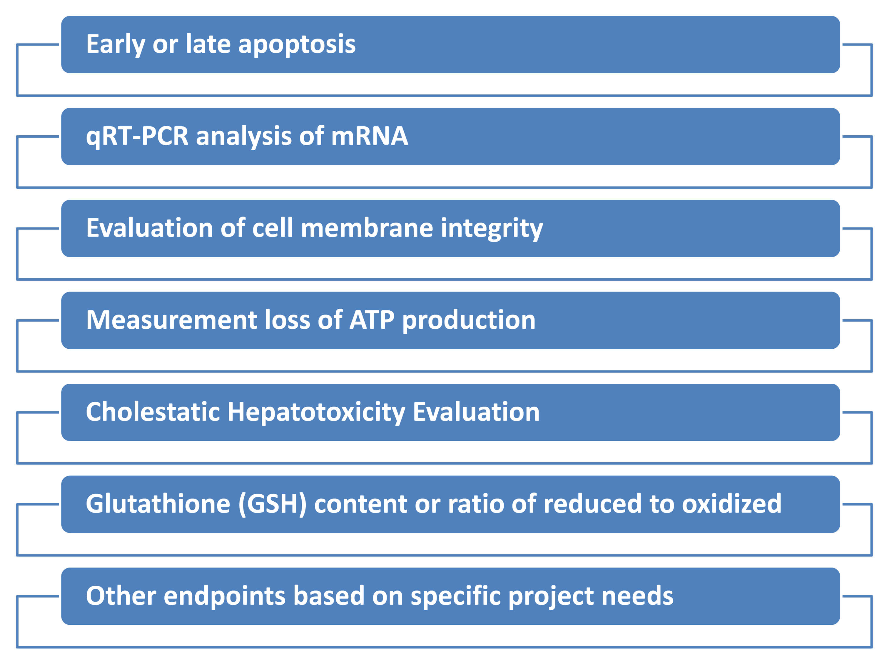 2D Based In Vitro Hepatotoxicity Testing Services