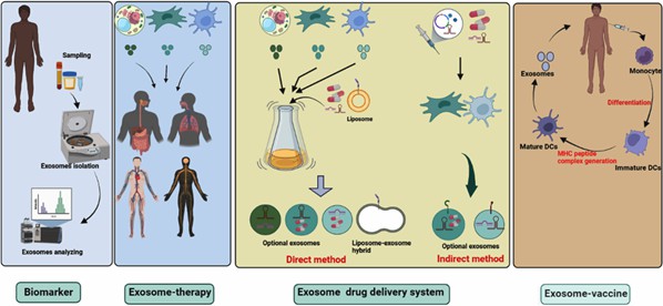 Clinical application of exosomes.