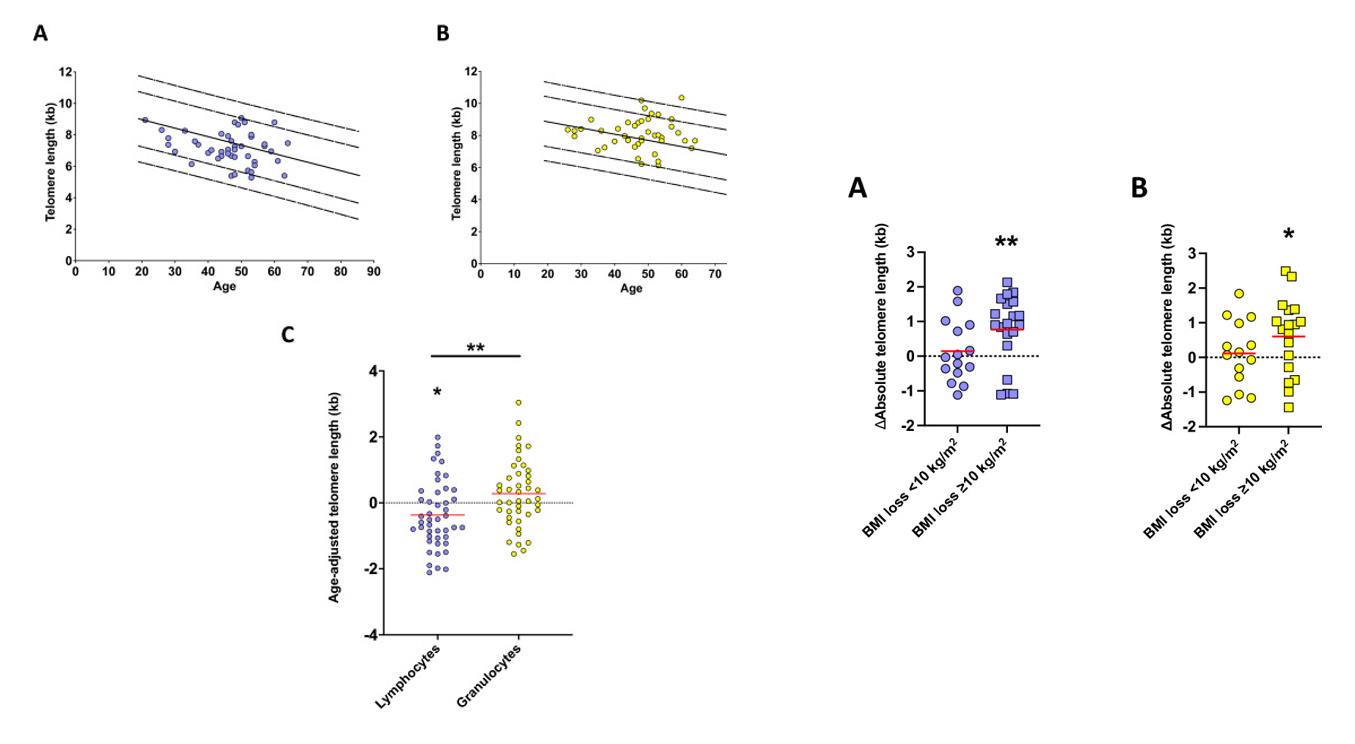 al blood before bariatric surgery. Right: Difference (∆) of the absolute telomere length (TL) of the follow-up population after bariatric surgery (n = 35).