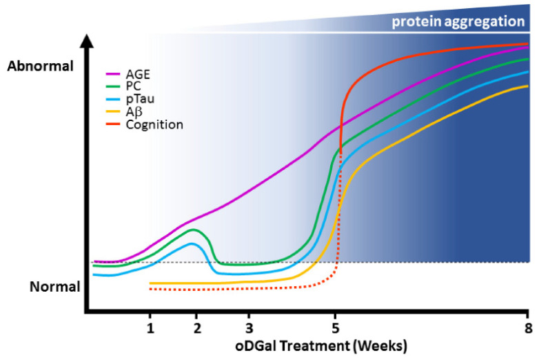 Diagram illustrating sequential onset of pathologies in the hippocampus following oDGal dosing.