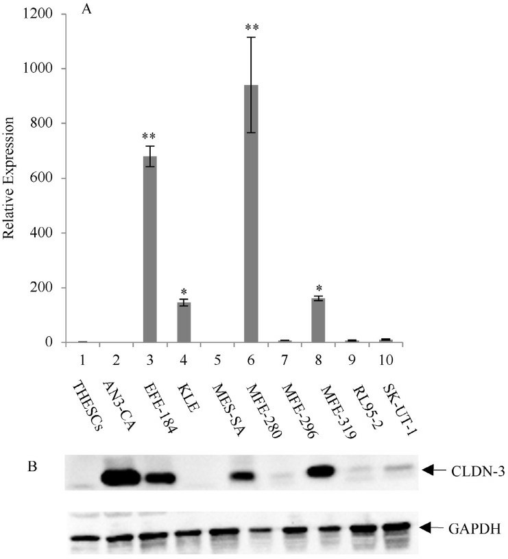 Gene expression analysis.