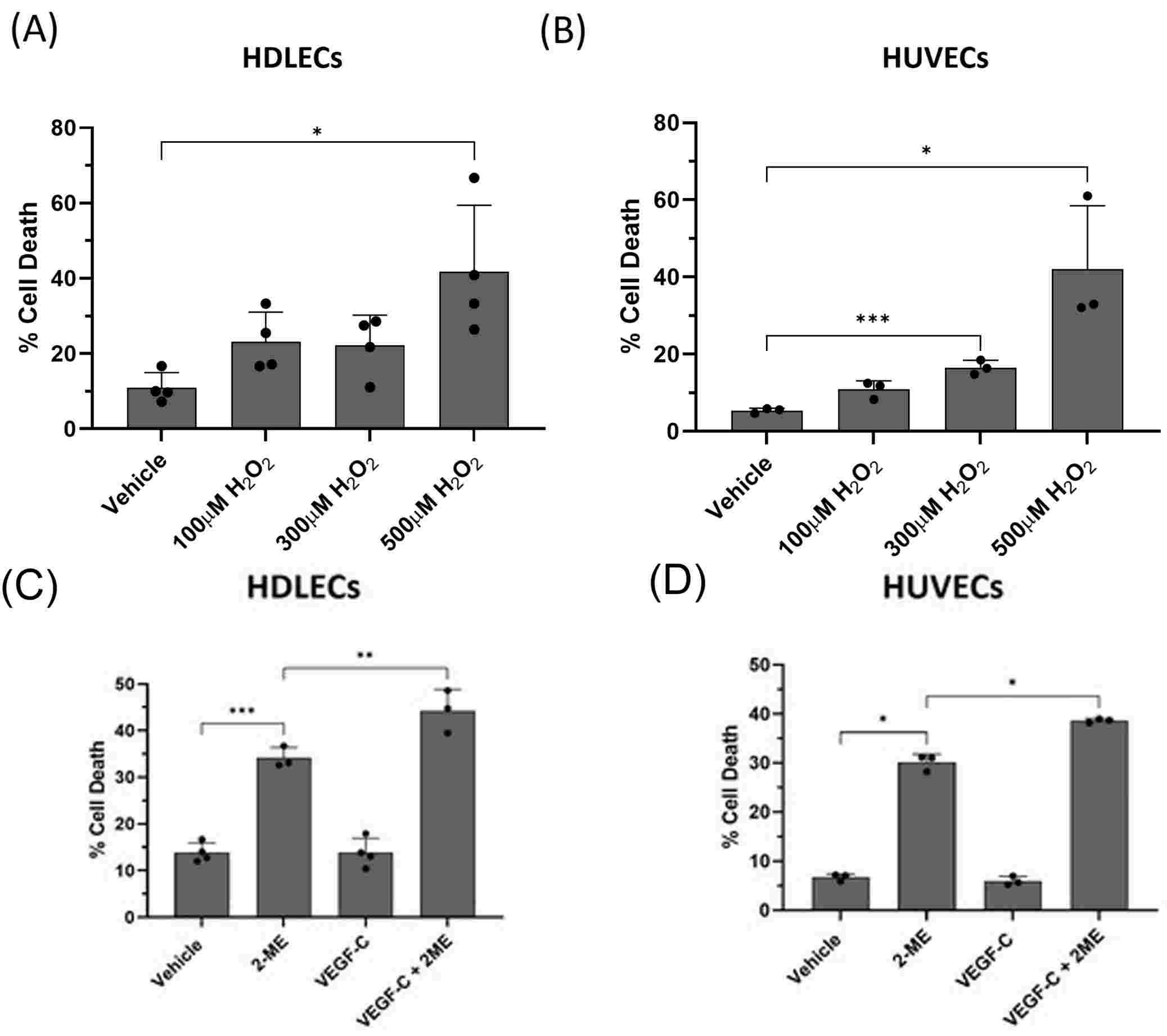 (A-B). H2O2 induces marked cell death in both HDLECs and HUVECs. (C-D). VEGF-C increases the susceptibility of these cells to 2-ME-induced cell death.