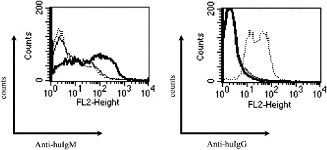 Mouse B-cell lymphoma (A20) expressing Her-2 was stained with the anti-peptide IgM antibody prepared from one of the hybridoma lines or Herceptin (IgG). Phycoerythrin-conjugated anti-human IgM (Anti-huIgM) or anti-human IgG (Anti-huIgG) was used for the secondary antibody. Cells were washed and analyzed by fluorescein-activated cell sorting analysis.