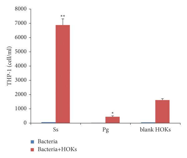 Chemotactic Response of THP-1 Cells after 18 Hours.