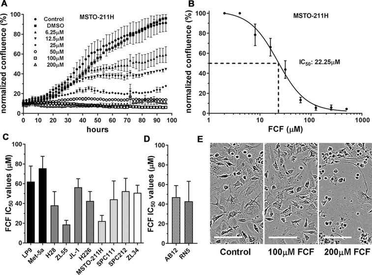 The inhibitory effect of FCF on the proliferation of cells derived from mesothelial tissue.