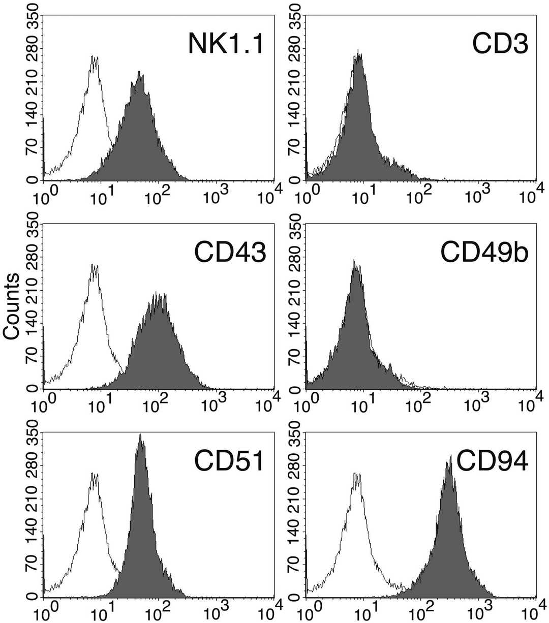 Surface Protein Markers of the KIL C.2 Clone.