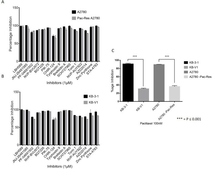 Secondary screening of 118 compounds conducted on both parental and resistant cell lines.