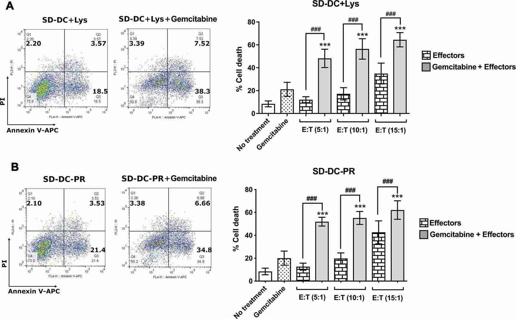 Gemcitabine increased the cytotoxic effectiveness of cytotoxic T lymphocytes (CTLs).