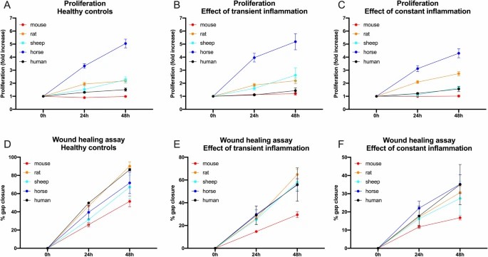 Comparative Analysis of Tenocyte Proliferation (A–C) from Five Mammalian Species (mouse, rat, sheep, horse, and human) under Healthy (Ctr/A), Transient (TI/B), and Constant (CI/C) Inflammatory Conditions, Represented as Fold Increase Over Two Days.
