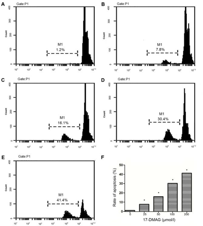 17-DMAG treatment induces apoptosis in diffuse large B-cell lymphoma cells line SU-DHL-4. (Li JJ, et al., 2017)