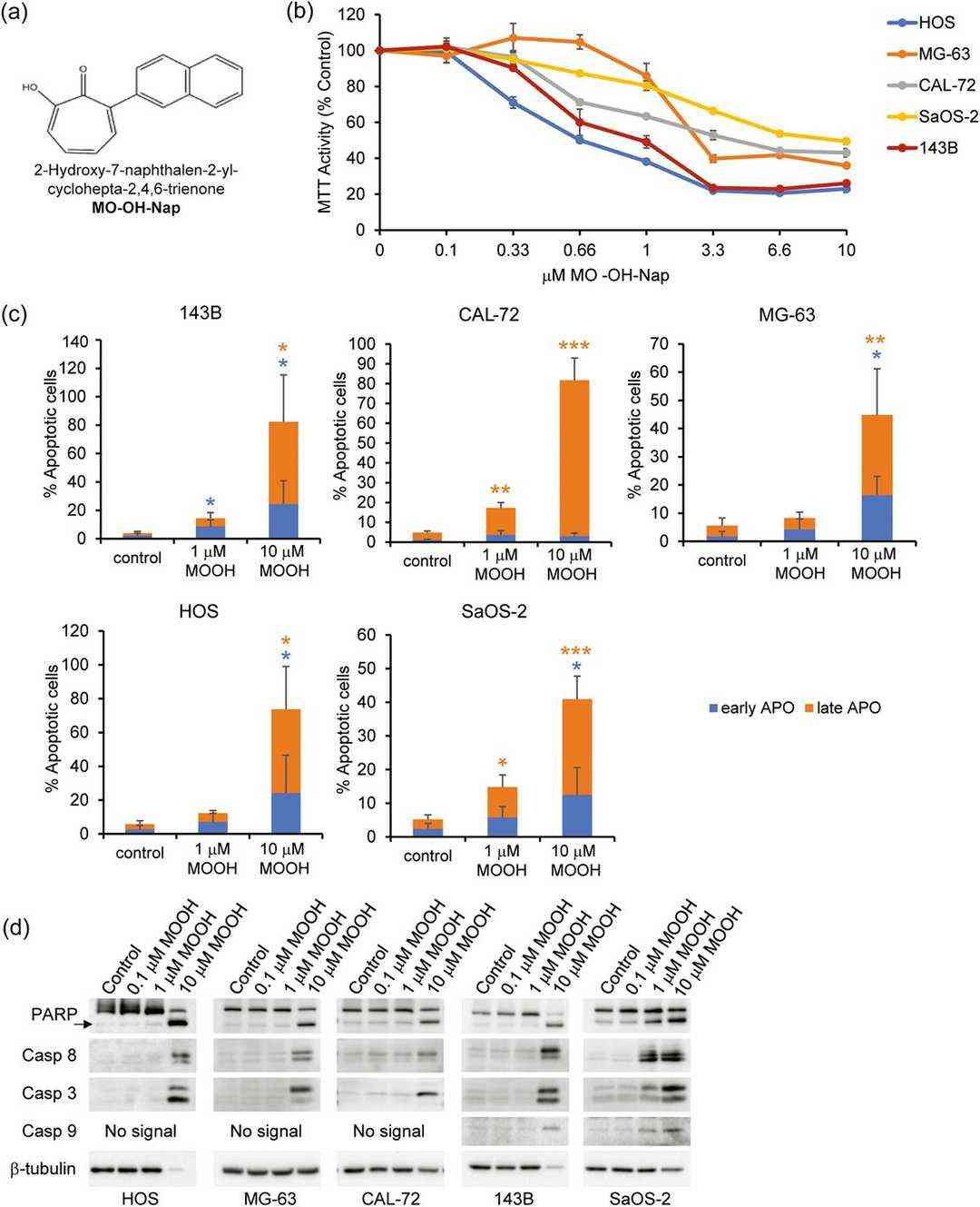 MO-OH-Nap triggers apoptosis in osteosarcoma cells.