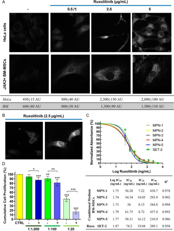 Uptake of Ruxolitinib by Bone Marrow Mesenchymal Stem Cells (BM-MSCs) and Its Antiproliferative Effects on Leukemic Stem Cells