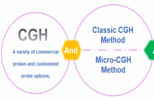 Molecular Karyotyping (aCGH) Service