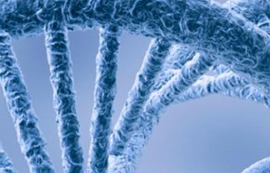 Biosample Nucleic Acid Purification