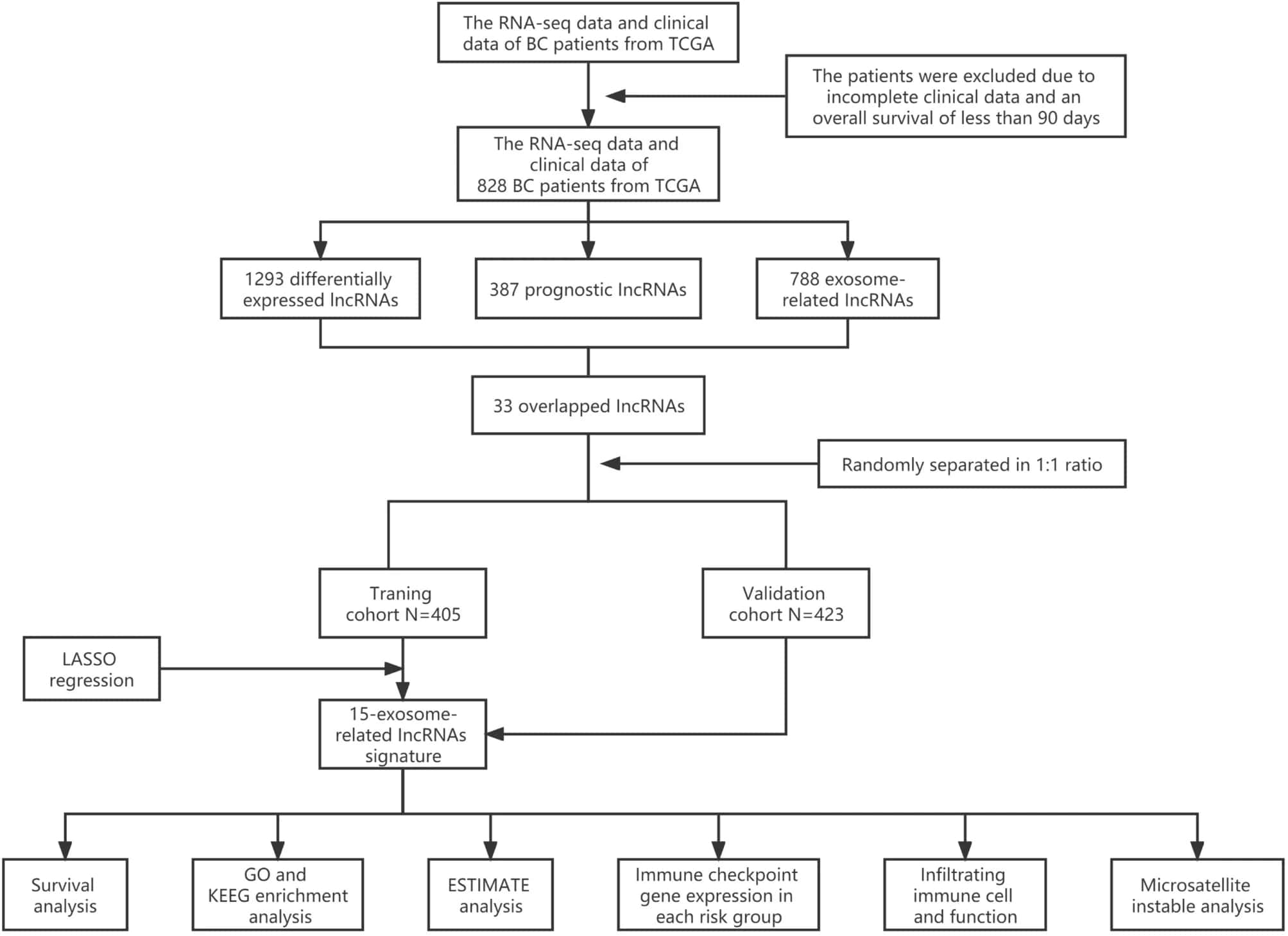 Analysis flow chart.