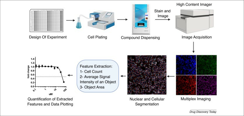 High-throughput screening: today's biochemical and cell-based approaches.